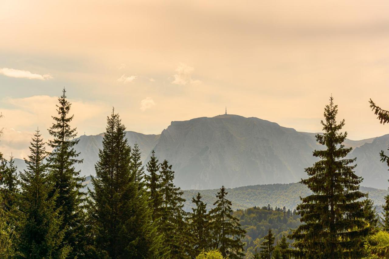 Pensiunea Hilltop Predeal Zewnętrze zdjęcie