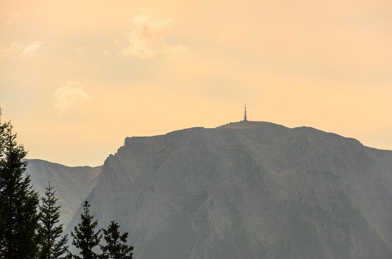 Pensiunea Hilltop Predeal Zewnętrze zdjęcie