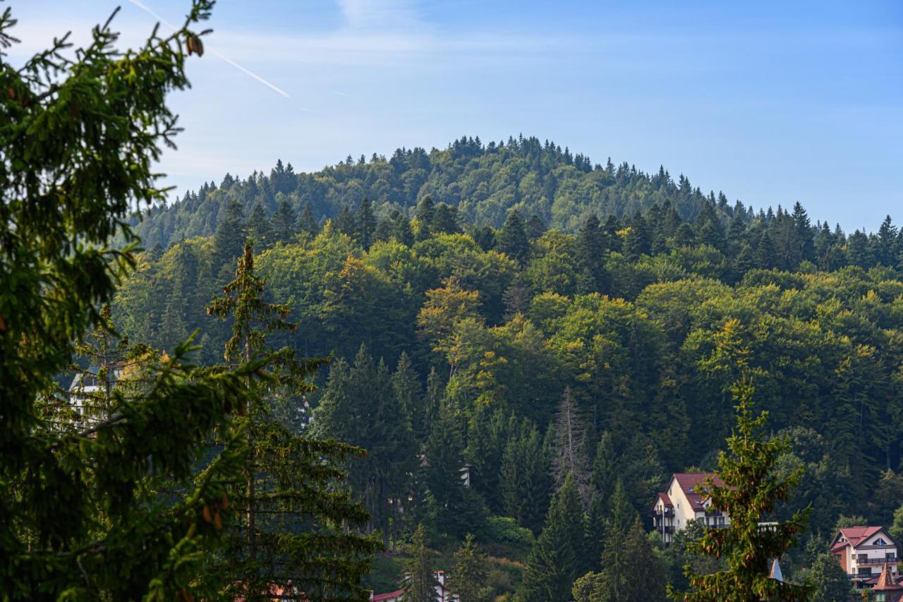 Pensiunea Hilltop Predeal Zewnętrze zdjęcie